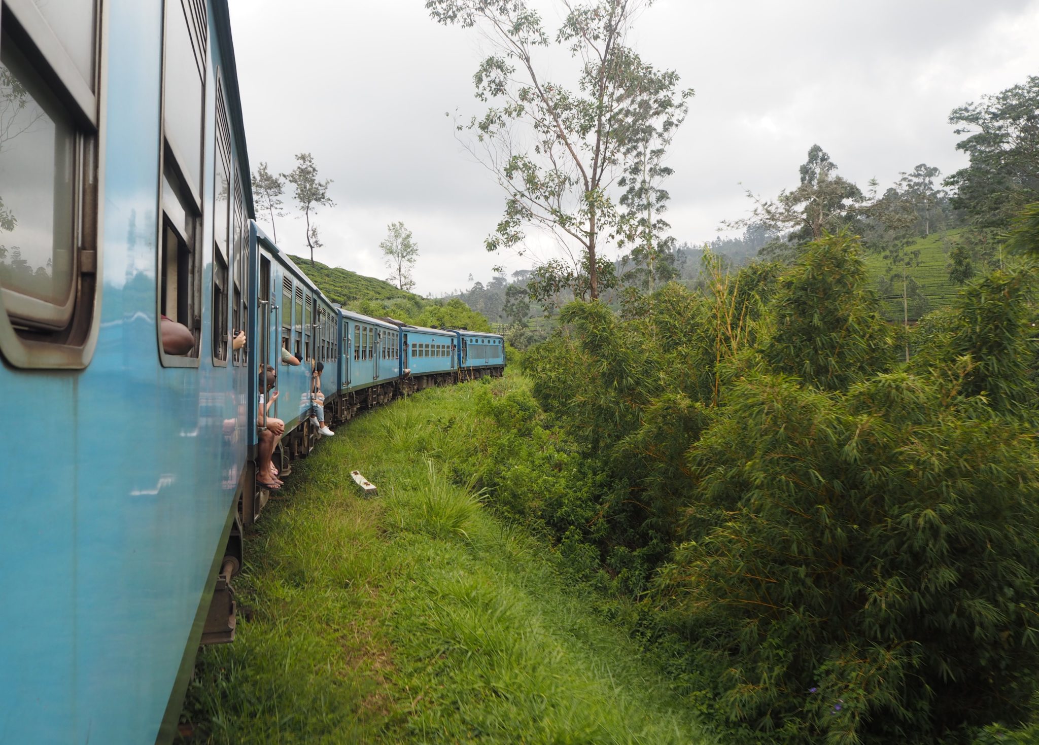 Blue train making a turn by green fields